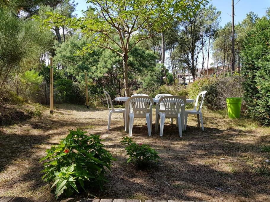 Maison A 300M De La Plage Βίλα Moliets-et-Maa Εξωτερικό φωτογραφία
